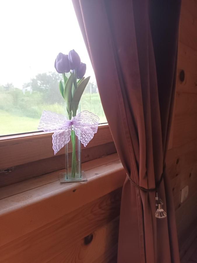 Lolini Bungalovi Novi Sad Eksteriør bilde