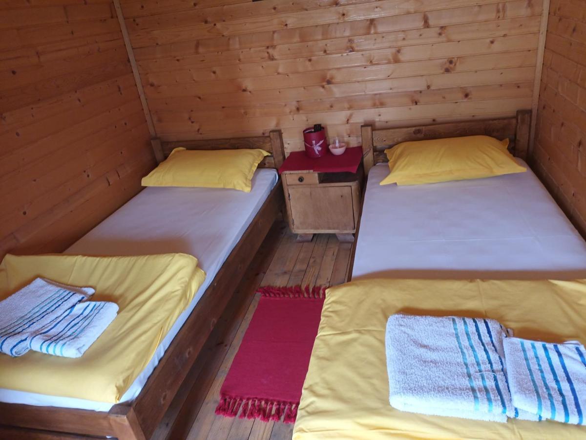 Lolini Bungalovi Novi Sad Eksteriør bilde