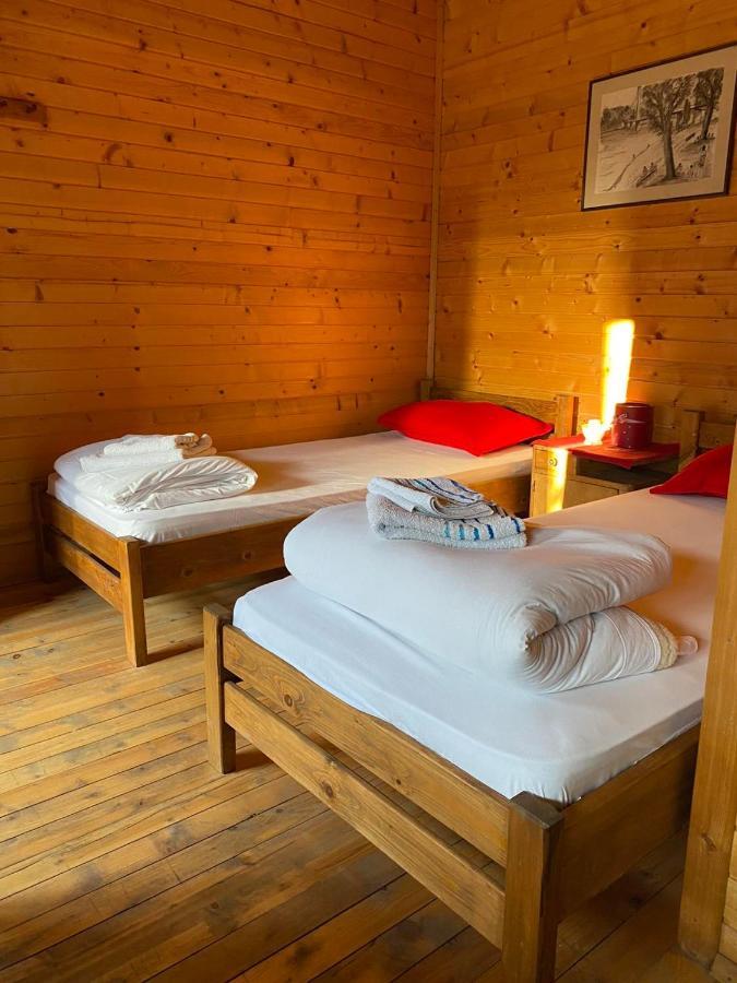 Lolini Bungalovi Novi Sad Eksteriør bilde