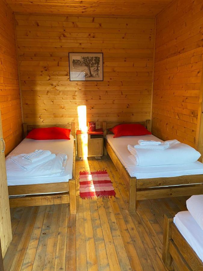 Lolini Bungalovi Novi Sad Eksteriør bilde