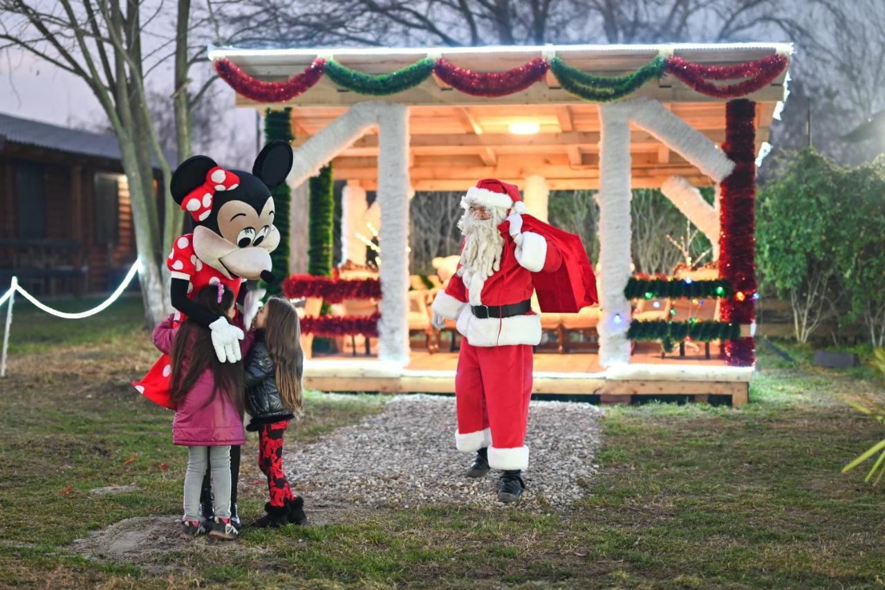 Lolini Bungalovi Novi Sad Eksteriør bilde