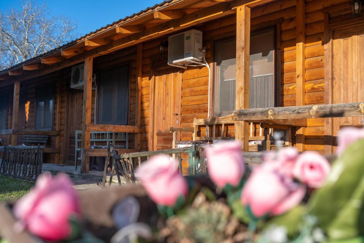 Lolini Bungalovi Novi Sad Eksteriør bilde