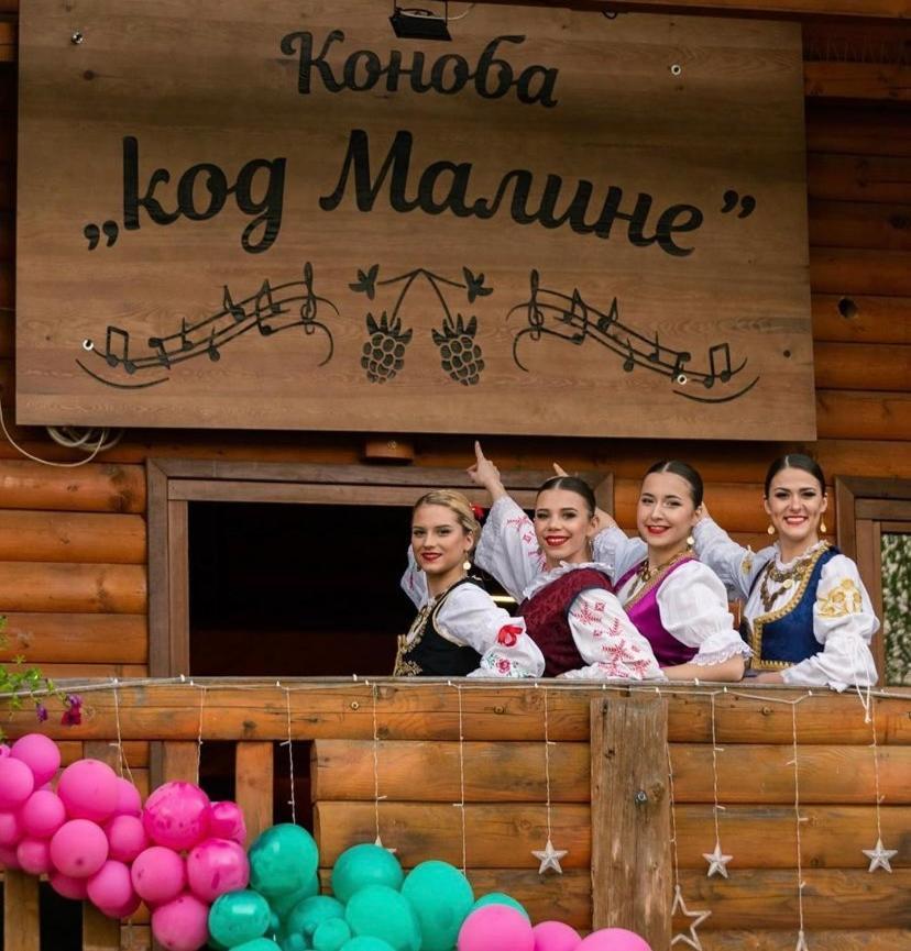 Lolini Bungalovi Novi Sad Eksteriør bilde
